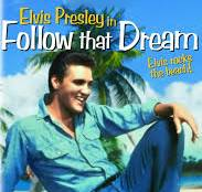 Pioneer, Go Home – The Elvis-Era Audiobook